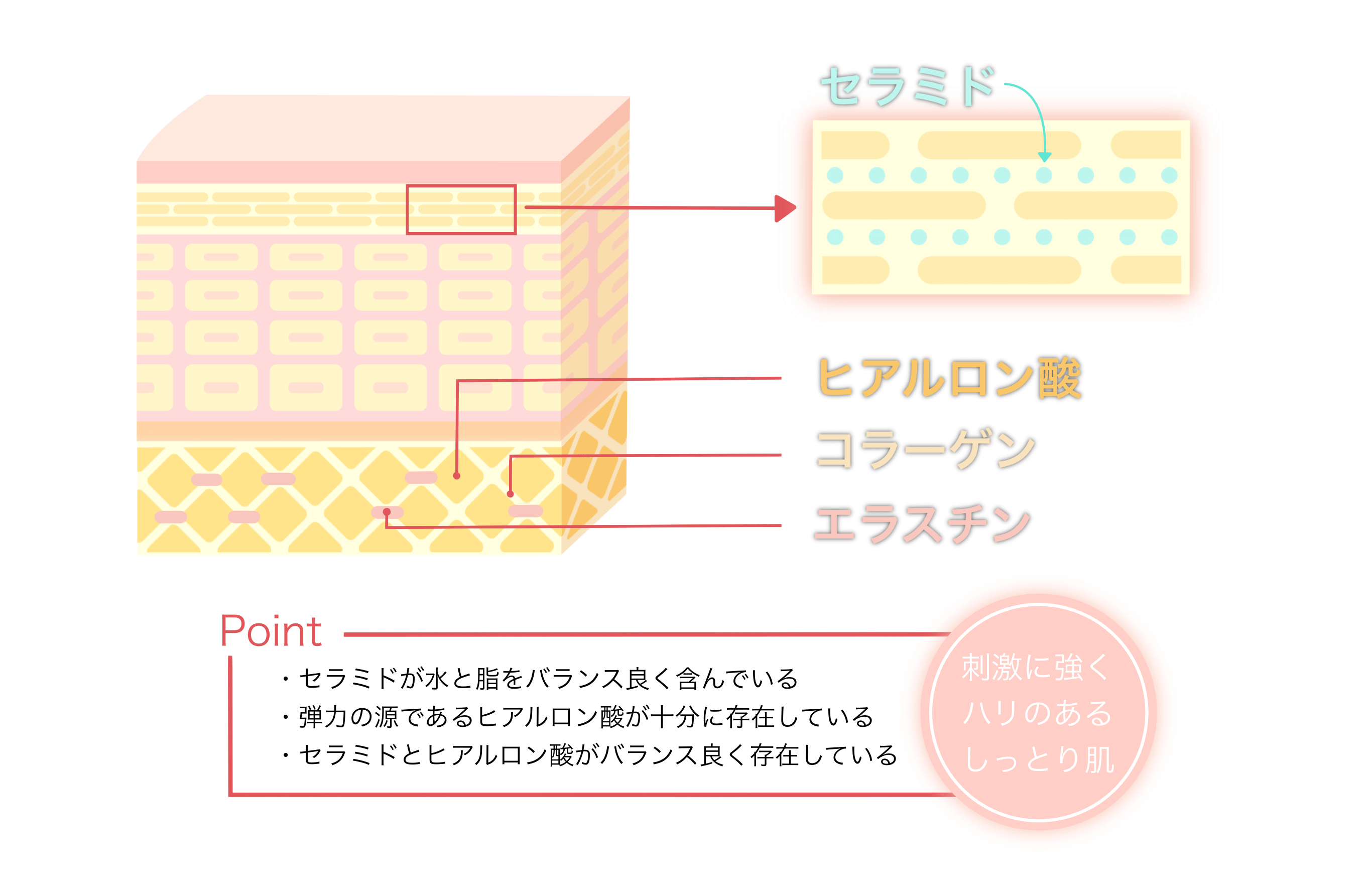 しっとり肌とはそもそもどのような状態？