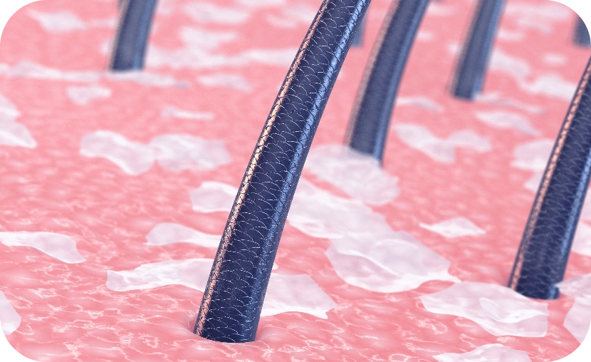 抗酸化作用でエイジングケア