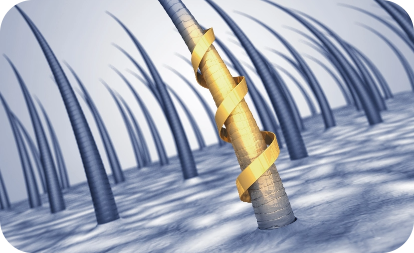 髪の保湿でダメージケア