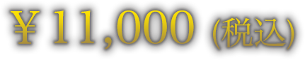 ￥11,000（税込）