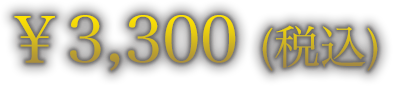 ￥3,300（税込）