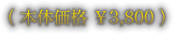 （本体価格 ￥3,800）