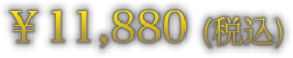 ￥11,880 (税込)