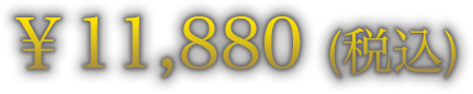 ￥11,880 (税込)