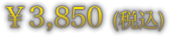￥3,850 (税込)